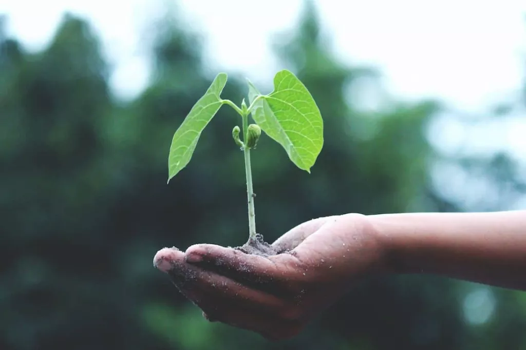 Hébergement web écologique||impact carbone site web