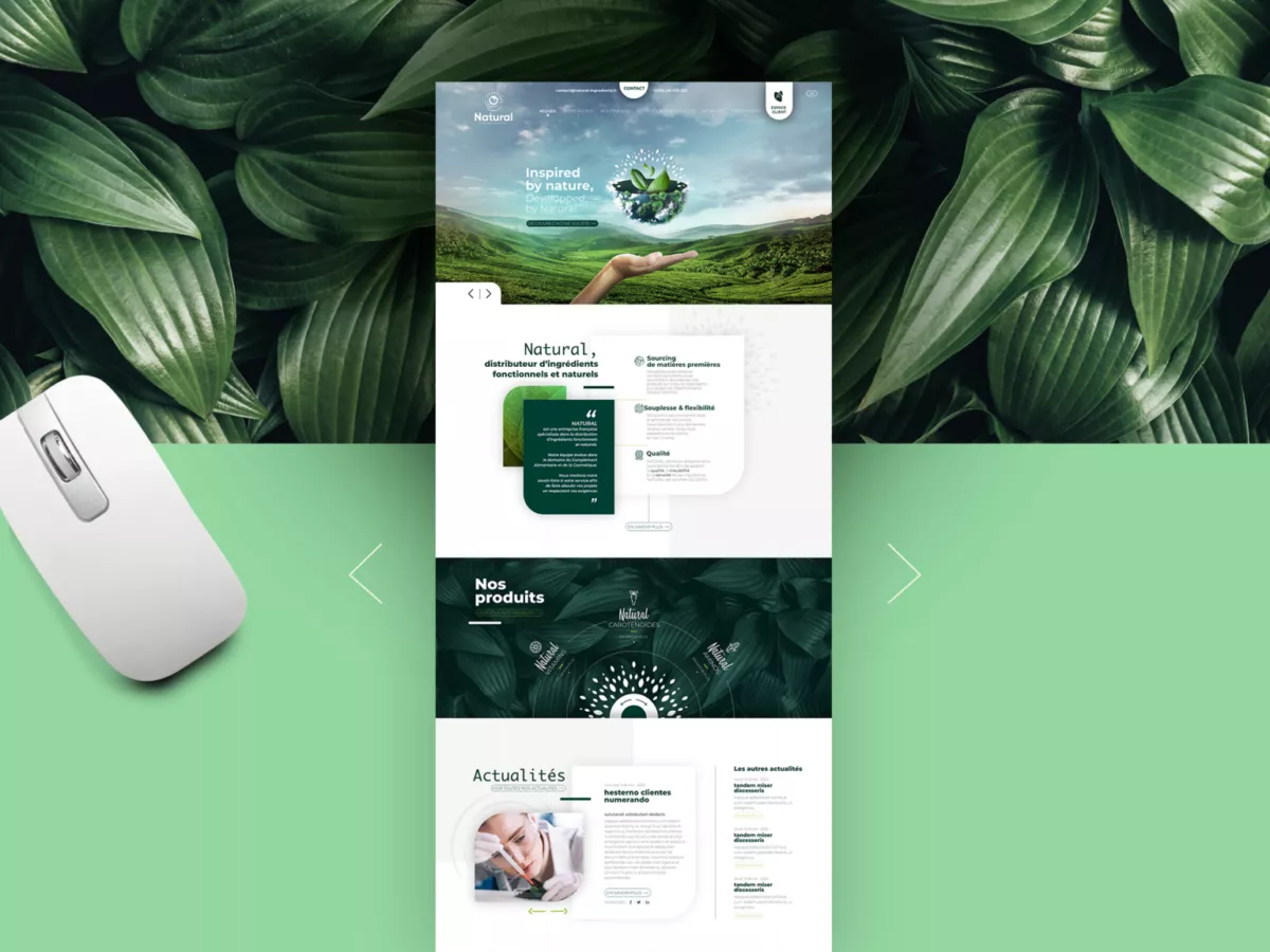 webdesign 2021|
